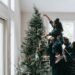 Affordable Christmas Trees and Elegant Crystal Ornaments