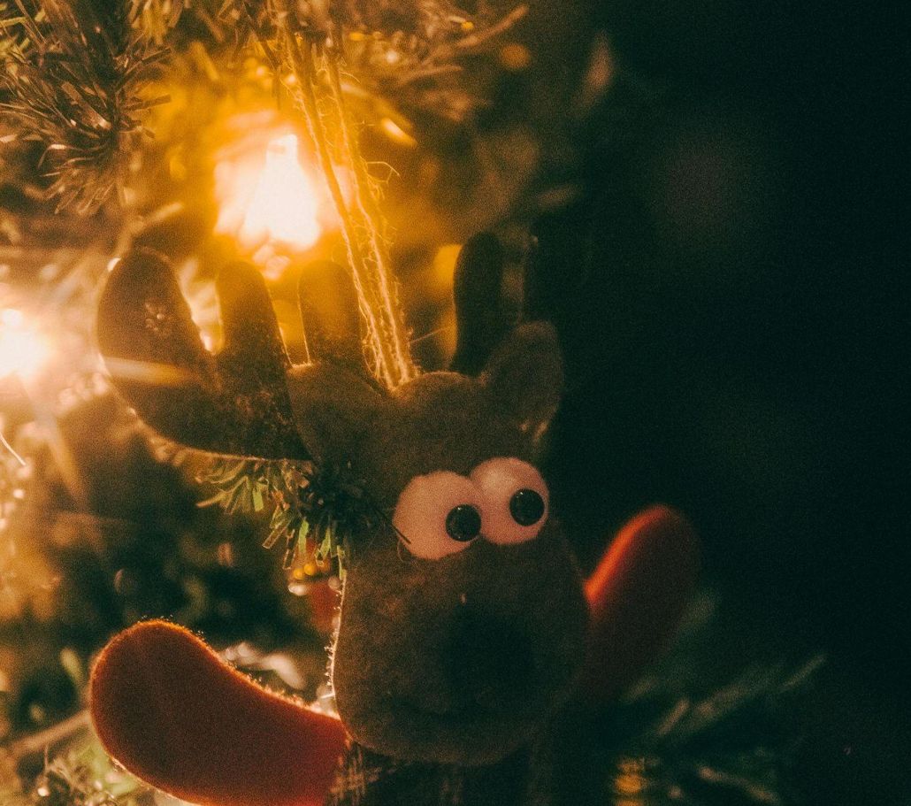 Perfect Christmas Tree Size for an 8-Foot Ceiling